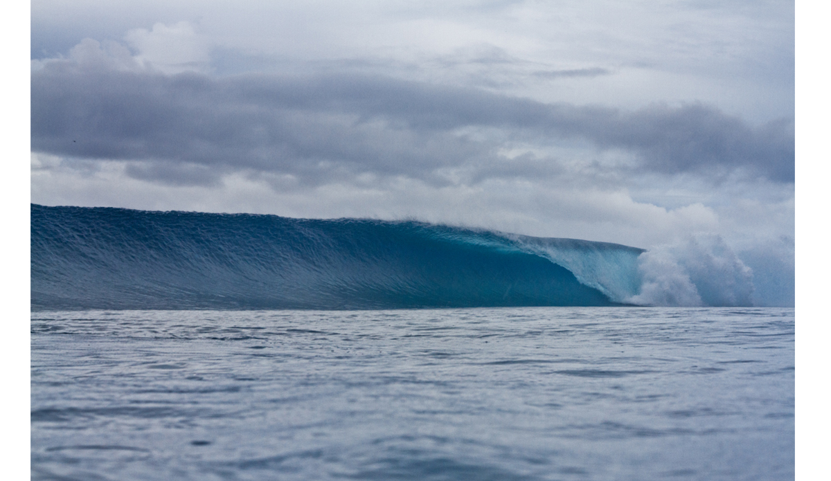 Photo: <a href=\"http://haydenoneillphoto.com/\">Hayden O\'Neill</a>