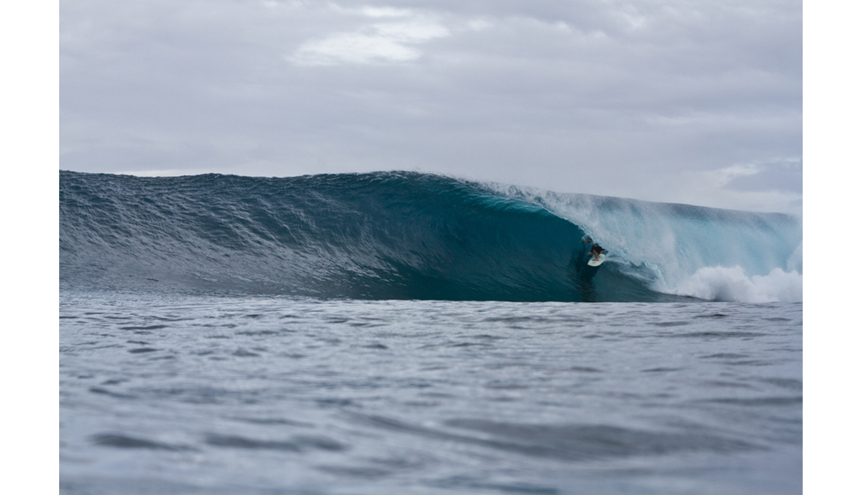 Photo: <a href=\"http://haydenoneillphoto.com/\">Hayden O\'Neill</a>