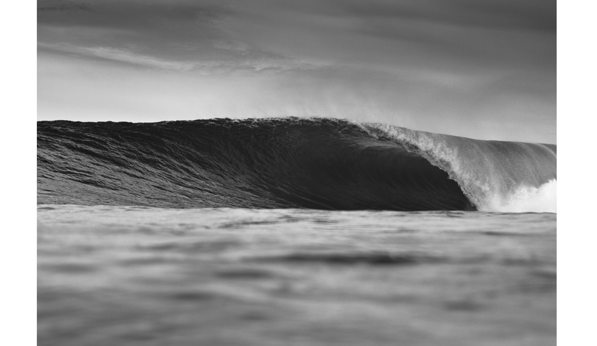 Photo: <a href=\"http://haydenoneillphoto.com/\">Hayden O\'Neill</a>