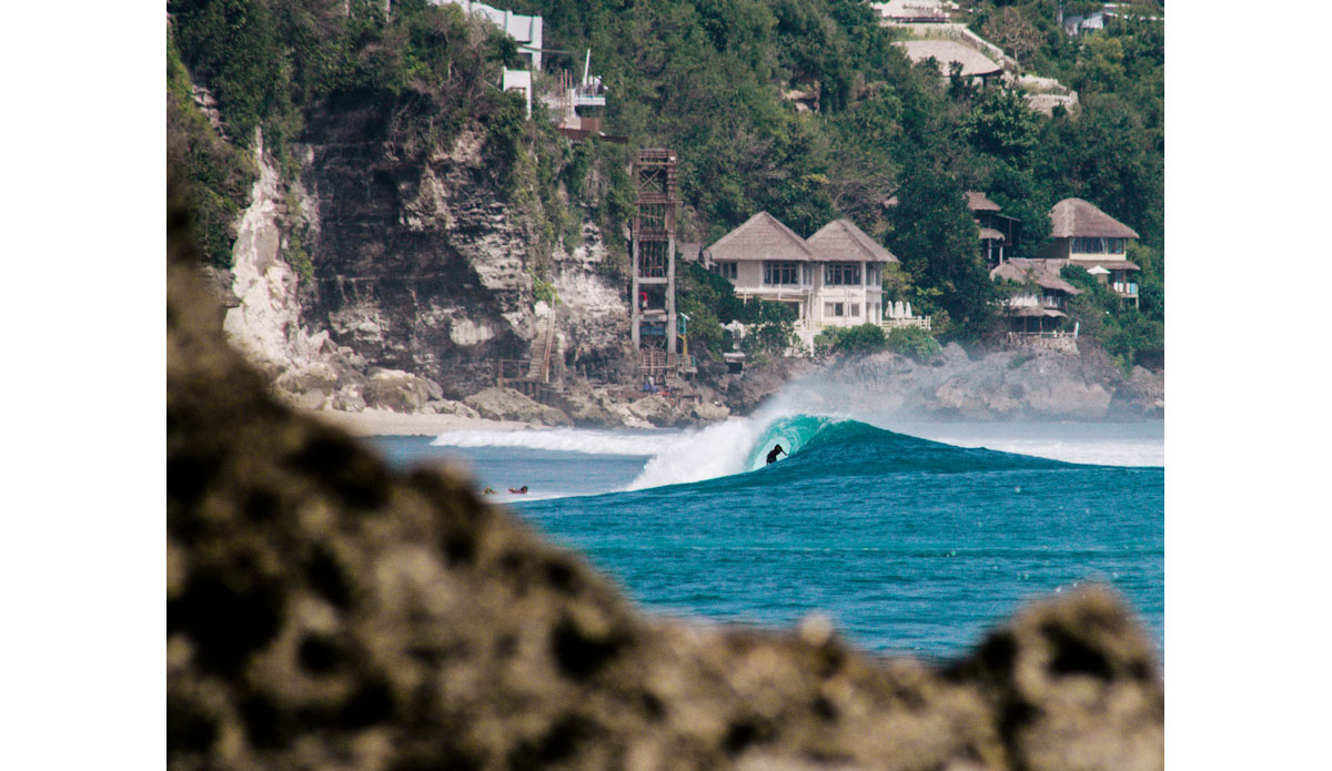 A different shade of Indo. Photo: <a href=\"http://haydenoneillphoto.com/\">Hayden O\'Neill</a>