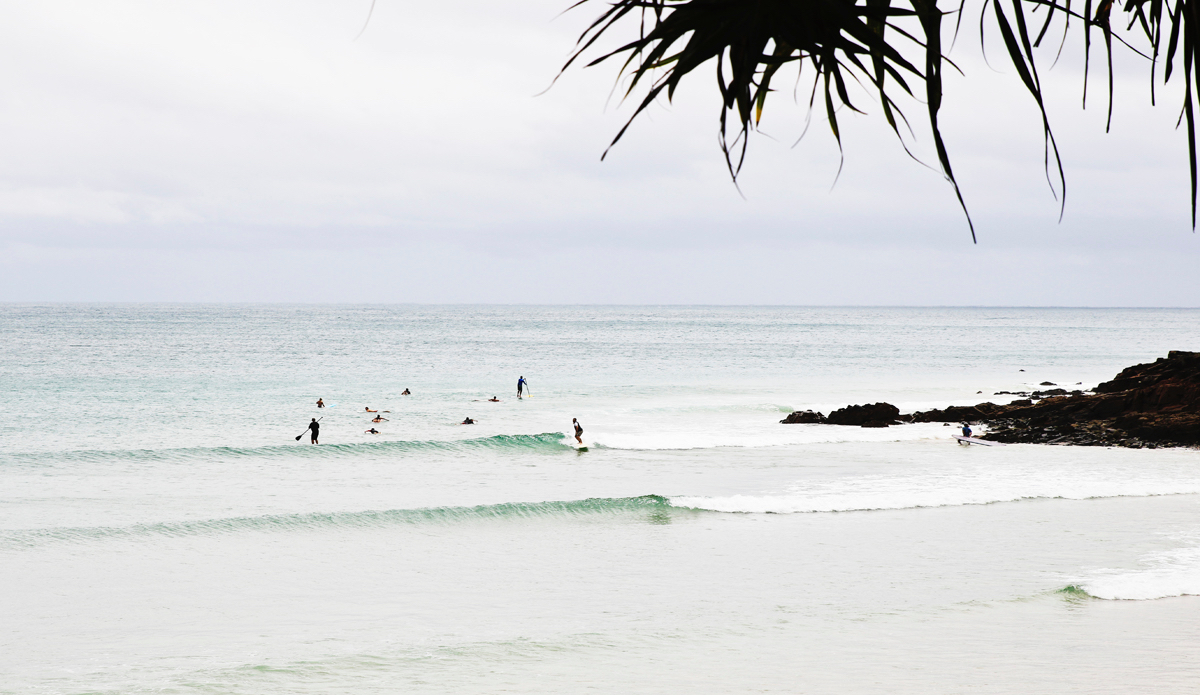 Tiny and perfect little reelers at a popular spot in Queensland. Photo: <a href=\"http://www.instagram.com/hollytreephoto\">@HollyTreePhoto</a>