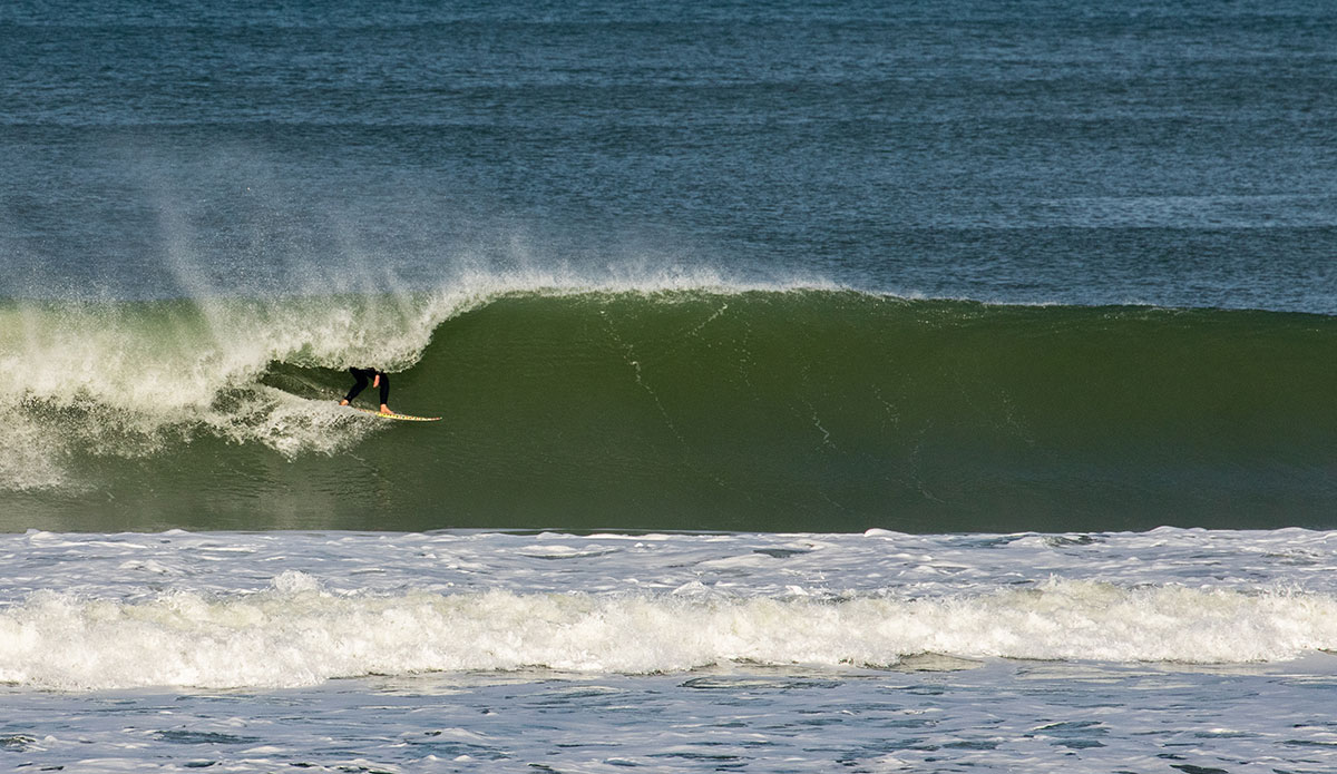 Hiding from officials in South Landes. Photo: <a href=\"https://www.instagram.com/jeromechobeauxfr/\">Jérôme Chobeaux</a>