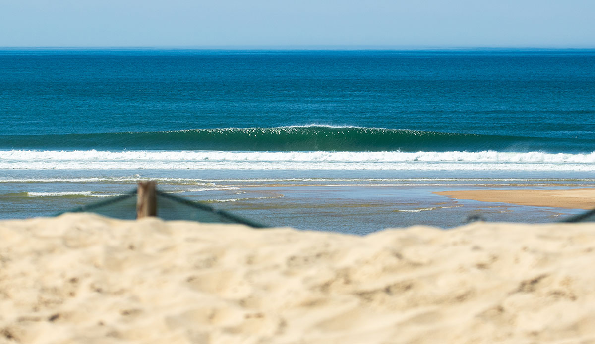 South Landes. Photo: <a href=\"https://www.instagram.com/jeromechobeauxfr/\">Jérôme Chobeaux</a>