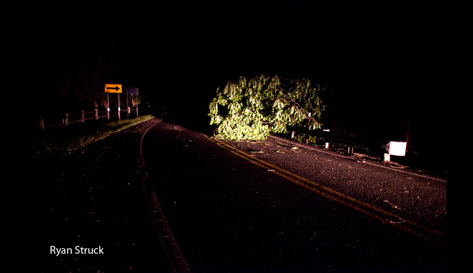 Winds up to 70 mph threw trees across the darkened streets. Photo: <a href=\"http://ryanstruck.com/\" target=_blank>Ryan Struck</a>/<a href=\"http://www.thenewsurf.com\" target=_blank>The New Surf</a>