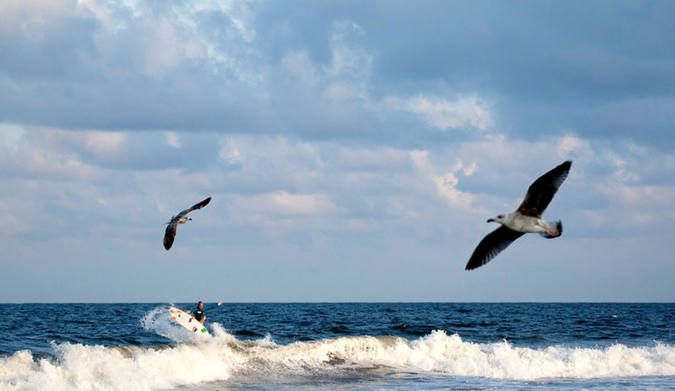 Hurricane trips are all about getting it at the right time. Time flies and so does Tom. Photo: <a href=\"http://mikeincitti.com/\" target=_blank>Mike Incitti</a>