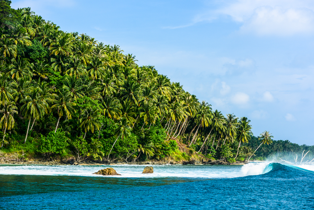 Coconuts and barrels.