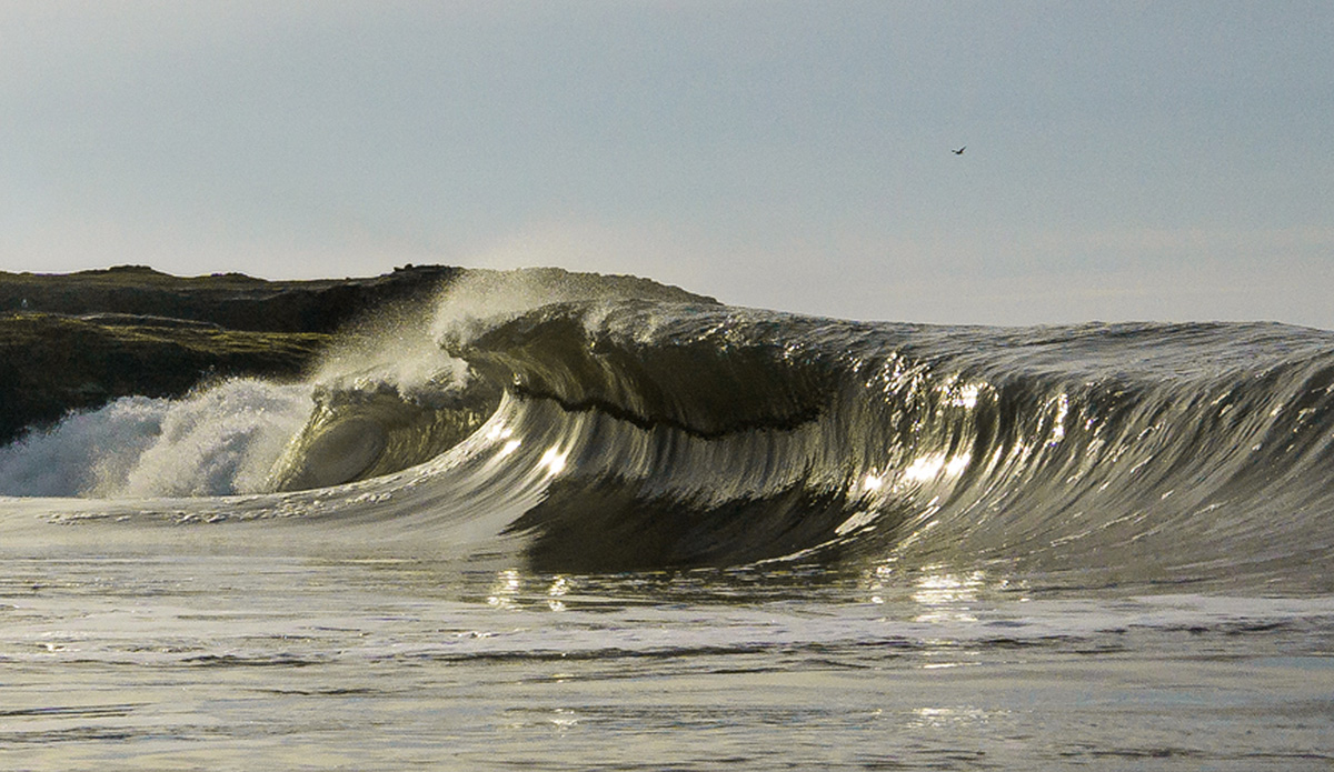 Heavy mutant slab, on a fine Santa Cruz morning. Photo: Jack Bober