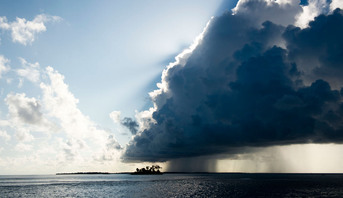  A submissive solace . Photo: <a href=\"http://www.jackdekortphoto.com.au/\">Jack Dekort</a>