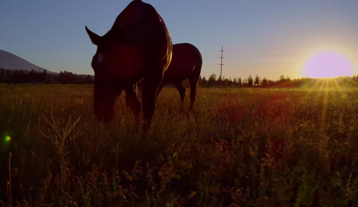 Screenshot: <a href=\"https://www.youtube.com/watch?v=sdJQF0fOOfU\">Jackson Hole</a>