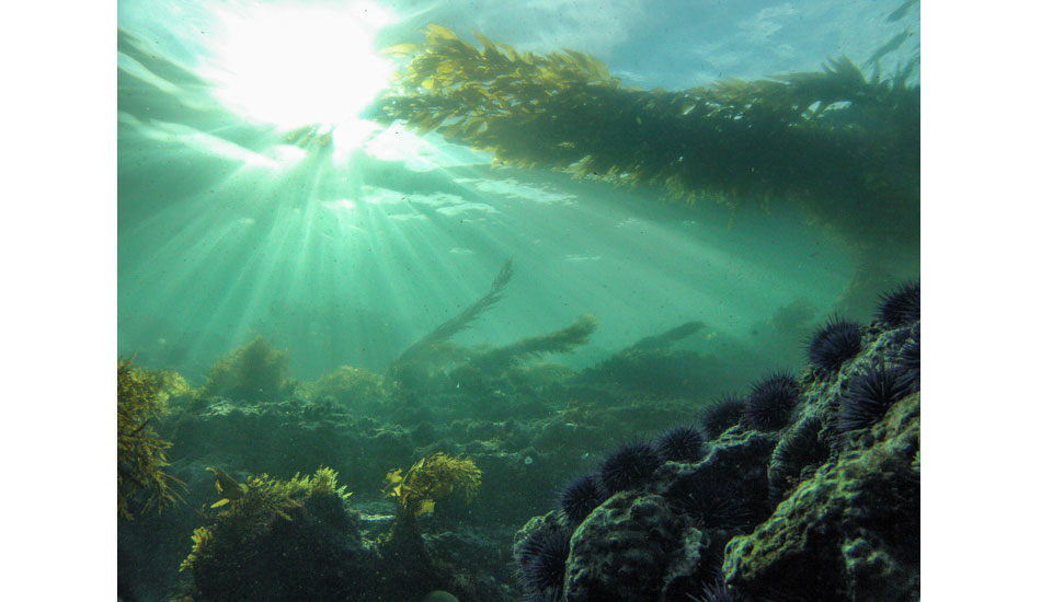 Down below in Laguna Beach. Laguna Beach, CA.