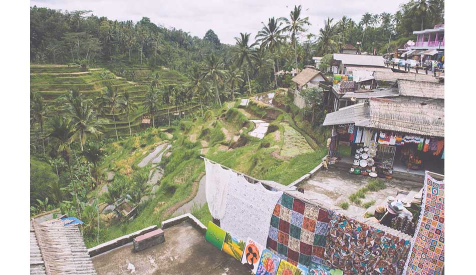 Rice fields in Ubud. Photo: <a href= \"http://www.jasoncorrotophoto.com/\">Jason Corroto</a>