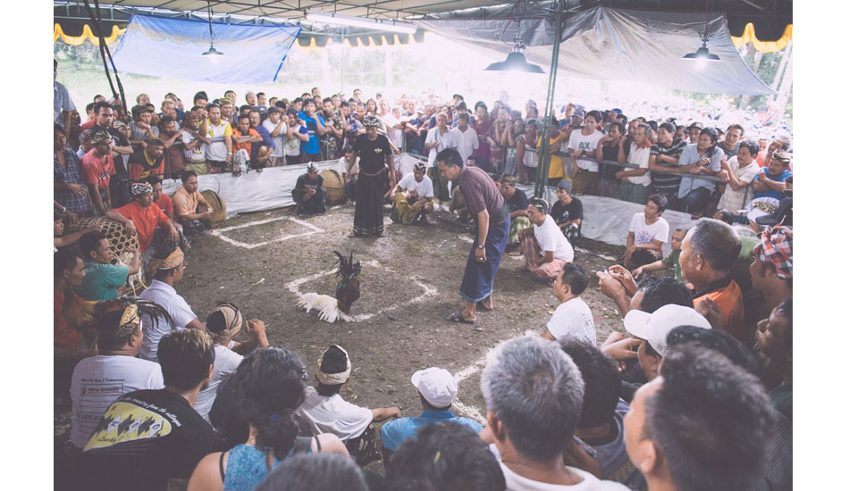 Cock fights. This place was crazy! Photo: <a href= \"http://www.jasoncorrotophoto.com/\">Jason Corroto</a>