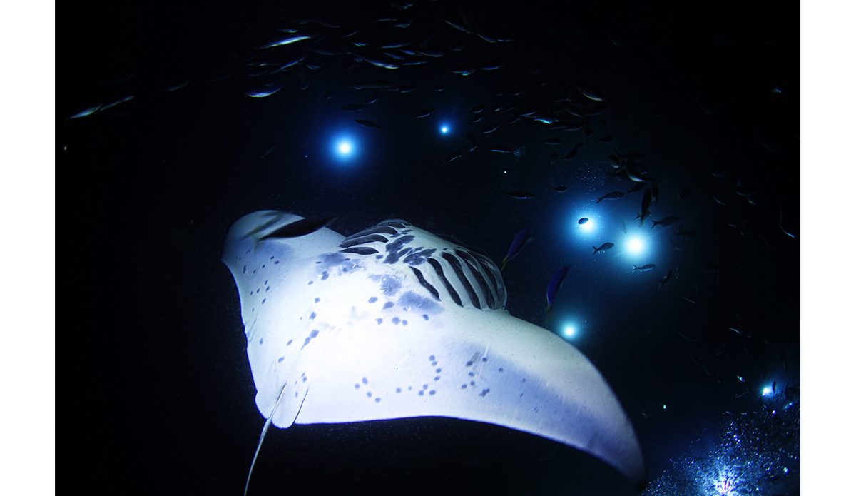 During the summer of 2013, a spur of the moment trip to Kona to shoot  huge manta rays swimming at night…it was truly an unforgettable experience. Photo: <a href=\"http://instagram.com/manaphotohawaii\">Mana Photo Hawaii</a>