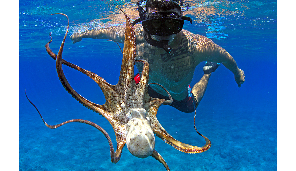 I really love capturing the lifestyle of Hawaii…here\'s my good friend Henry Greenspan playing with an octopus, or tako, as we like to call them. Photo: <a href=\"http://instagram.com/manaphotohawaii\">Mana Photo Hawaii</a>