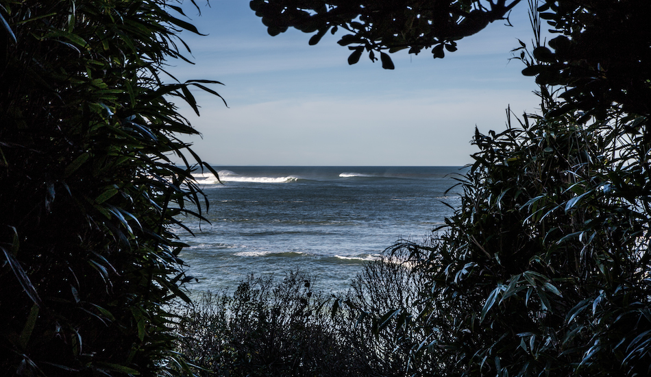 Through the trees in Northern Basque Country. Photo: <a href=\"http://www.jeromechobeaux.fr\">Jerome Chobeaux</a>