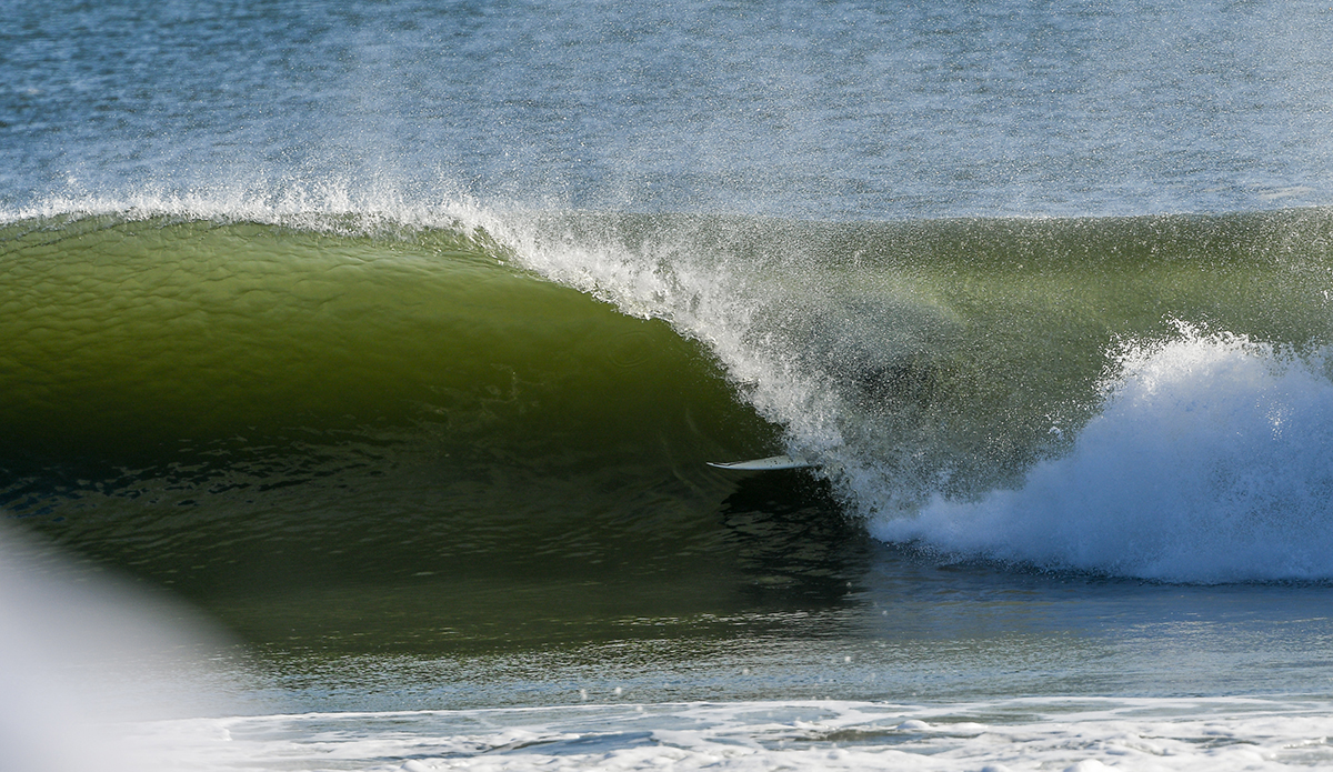 Mike Gleason. Photo: Tim Torchia