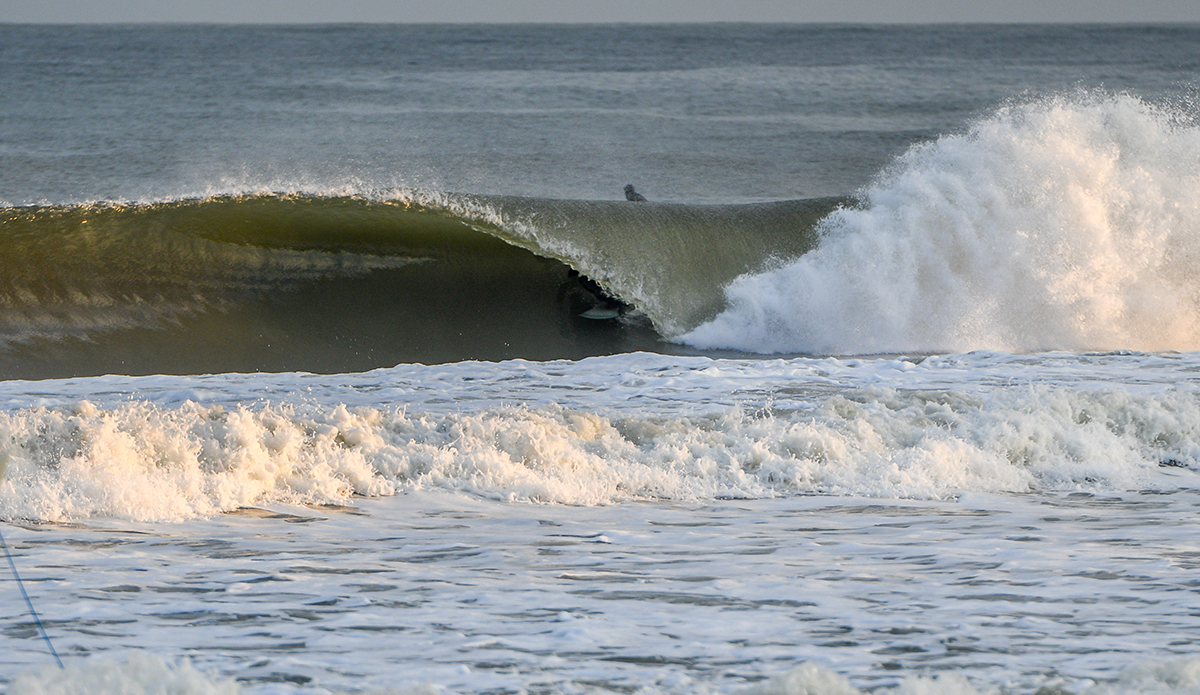 Dave Grimes. Photo: Tim Torchia