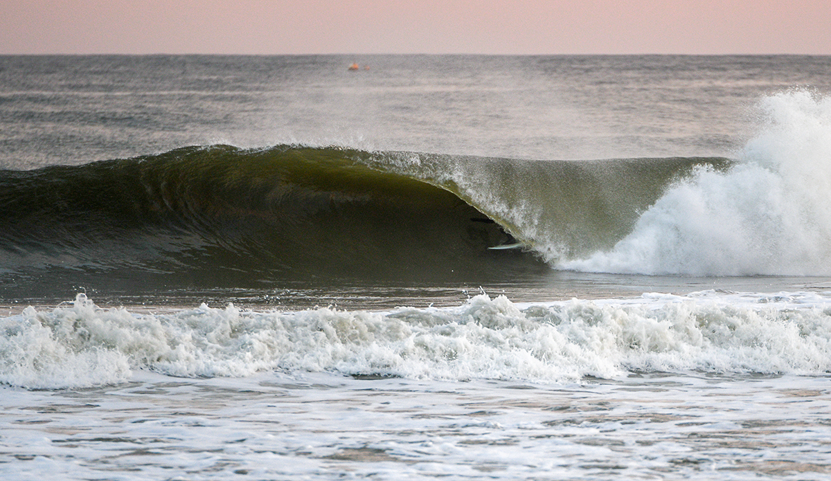 Paul Francisco. Photo: Tim Torchia