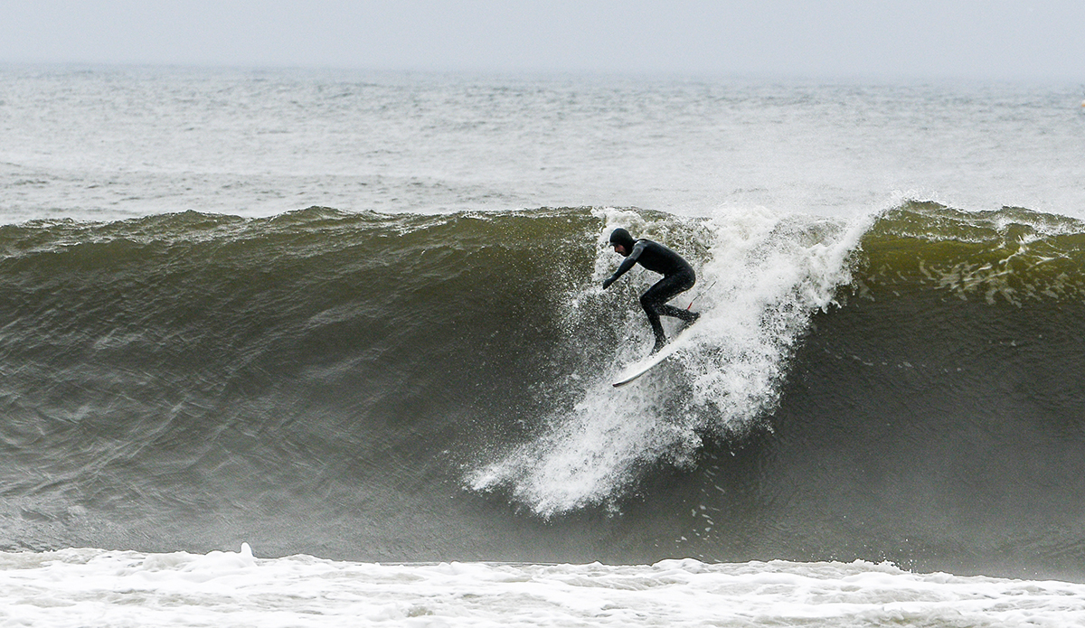 Ryan Daly. Photo: Tim Torchia