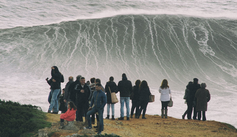 Sunday walk. Photo: <a href= \"http://joaobracourt.com/\" target=_blank>Joao Bracourt.</a>