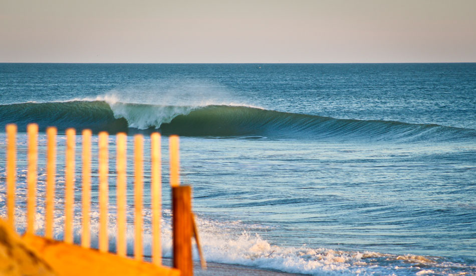  An early morning golden hour produced some amazing imagery. Photo: Shaun Devine.