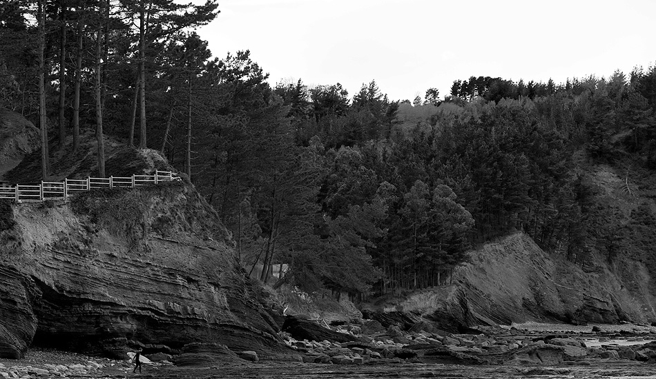 Century trees along basque country coastline. Ogeia, Spain. Image: <a href=\"http://juanfernandezfotografo.com/\" target=\"_blank\">Fernandez</a>