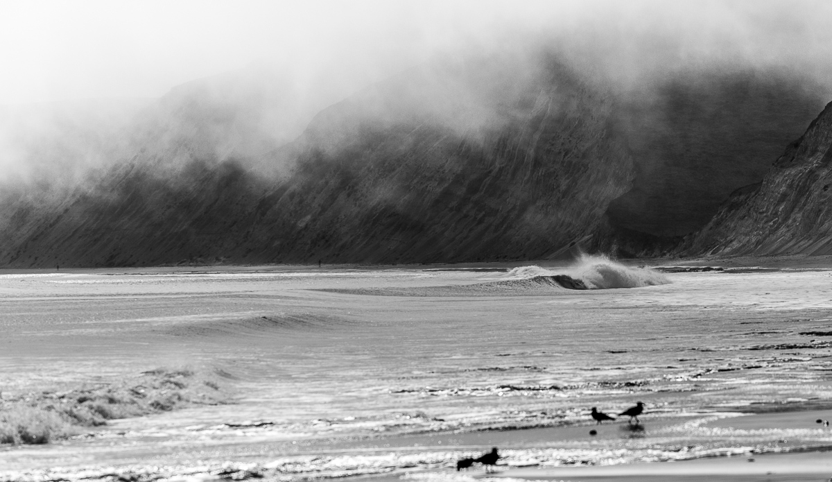 A foggy day at Point Ryes National Seashore.