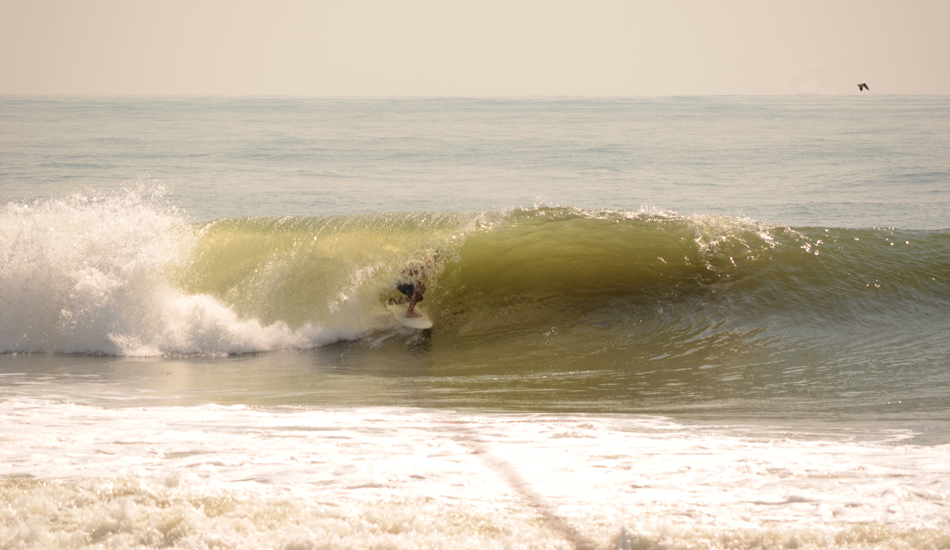 Cuff loves barrels. This is from Tropical Storm Issac. Photo: <a href=\"http://follyhood.blogspot.com\">Justin Morris</a>