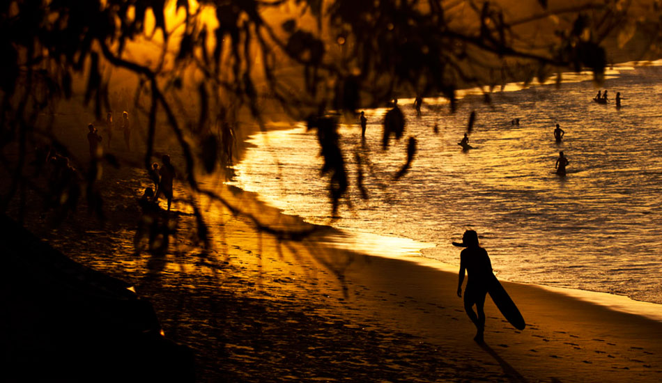 Golden hour. Photo: <a href=\"http://www.kanebrownphoto.com/#1\">Kane Brown</a>