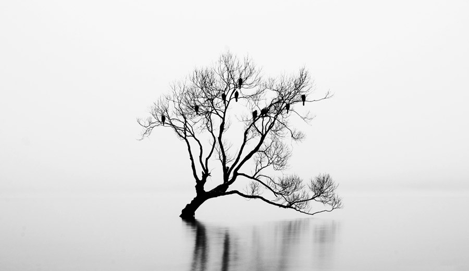 Silence, Lake Wanaka. Photo: <a href=\"http://www.kanebrownphoto.com/#1\">Kane Brown</a>