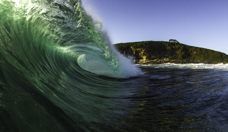 Ledgy Runner - Local Reef, Sunshine Coast. Photo: Kieran Tunbridge