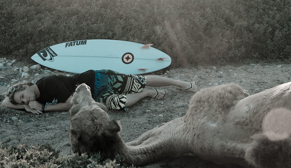 My little photo series with sleeping surfers and animals… Photo: <a href=\"http://www.larsjacobsen.com/\" target=_blank>Lars Jacobsen</a>.