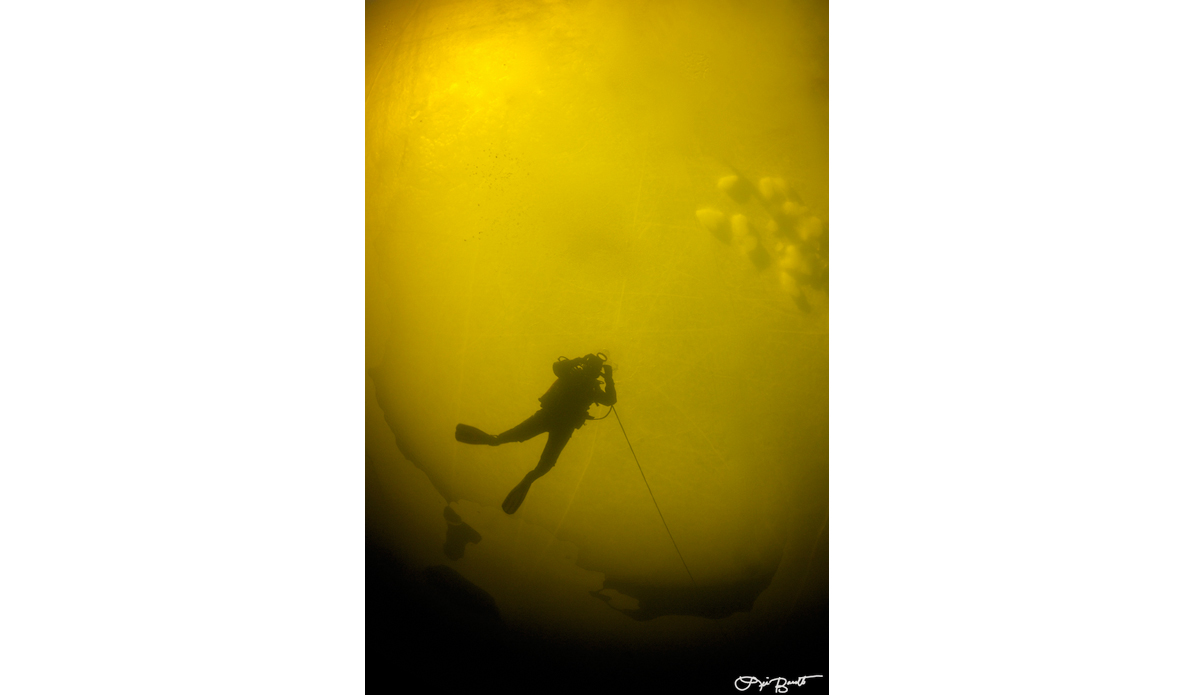 My safety diver Nina Tieder silhouetted against the ice. Photo: <a href=\"http://liabarrettphotography.com/\" target=_blank>Lia Barrett</a>