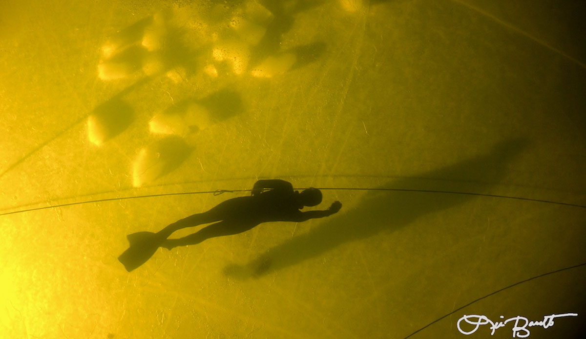 Freediver Chloe Villaume under the ice, and a scuba diver safety’s silhouette 
above. Photo: <a href=\"http://liabarrettphotography.com/\" target=_blank>Lia Barrett</a>