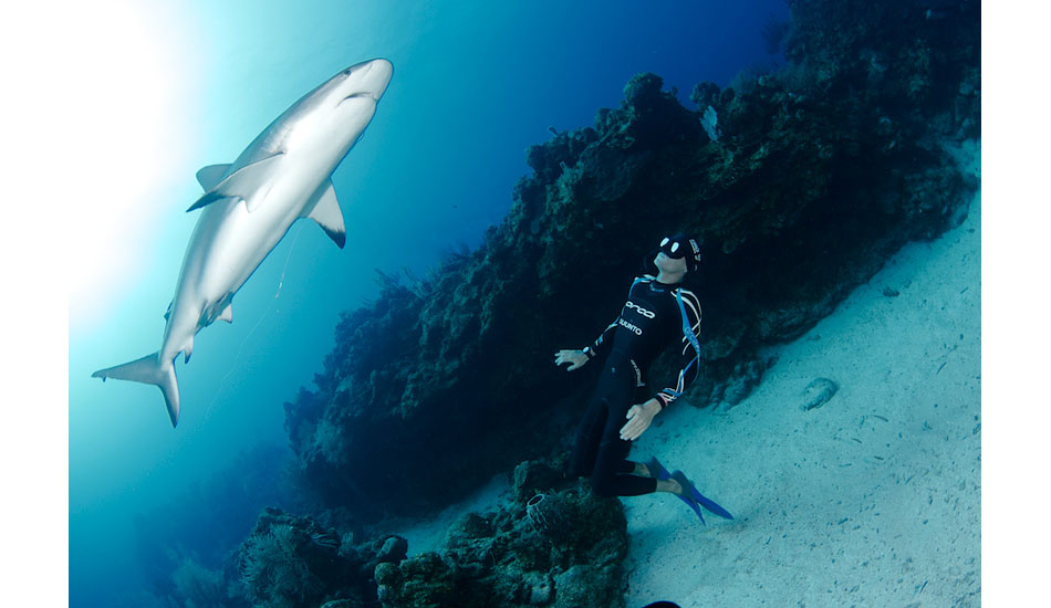 William Trubridge soaks in a moment as a reef shark passes over him off of Roatan, Honduras. Photo: <a href=\"http://liabarrettphotography.com/\" target=_blank>Lia Barrett</a>