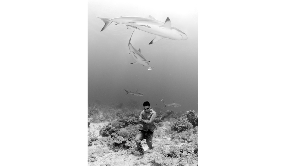 Exemplifying his respect for his comrades in the sea, freediver Walid Boudhiaf walks among the Caribbean reef sharks as a mark of mutual existence. Photo: <a href=\"http://liabarrettphotography.com/\" target=_blank>Lia Barrett</a>