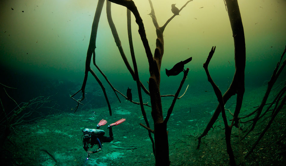 A safety diver and guide roaming around Car Wash. Photo: <a href=\"http://liabarrettphotography.com/\" target=_blank>Lia Barrett</a>