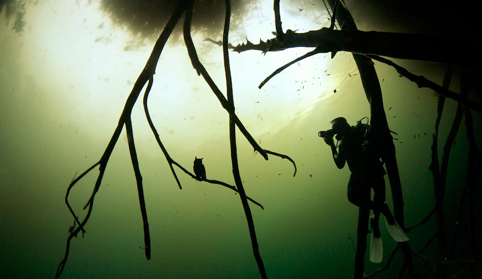 Writer and dive buddy Adam Skolnick scoping out an owl with a flooded camera. Photo: <a href=\"http://liabarrettphotography.com/\" target=_blank>Lia Barrett</a>