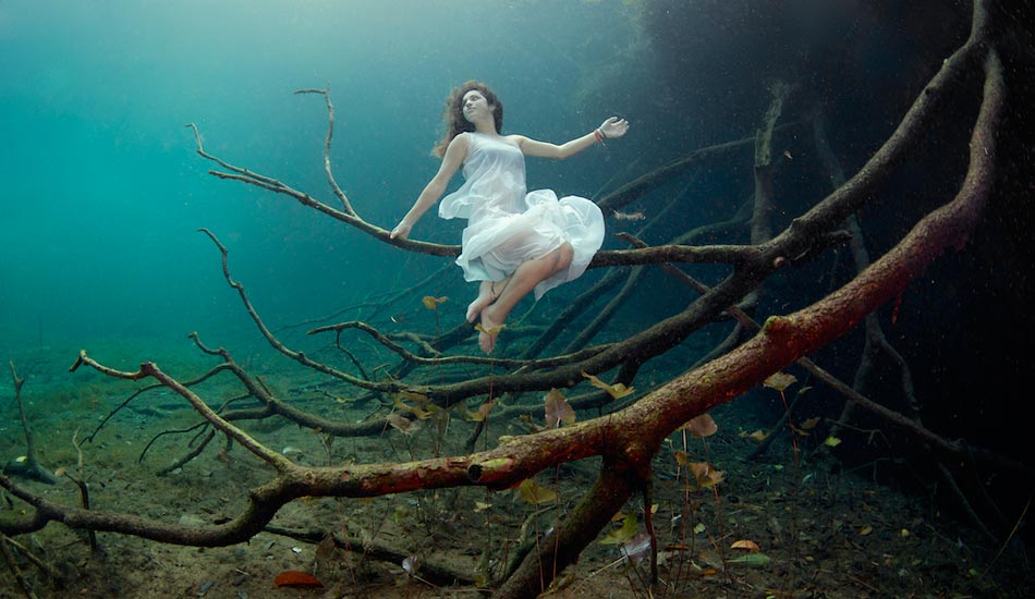 We learned that freedivers make really great underwater tree fairies. Photo: <a href=\"http://liabarrettphotography.com/\" target=_blank>Lia Barrett</a>