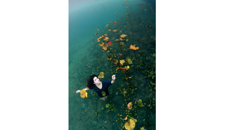 A forest of giant lilies. Photo: <a href=\"http://liabarrettphotography.com/\" target=_blank>Lia Barrett</a>