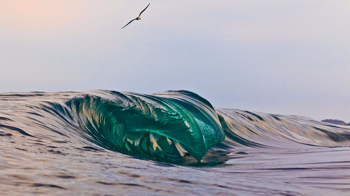 Light among Darkness.  This is by far the most dangerous slab I\'ve ever seen. Inches of water meet loads of water and a sharp reef as a bird quietly flies by, untouched. Photo: <a href=\"http://www.lucaswaterman.com/\">Lucas Gomes</a>