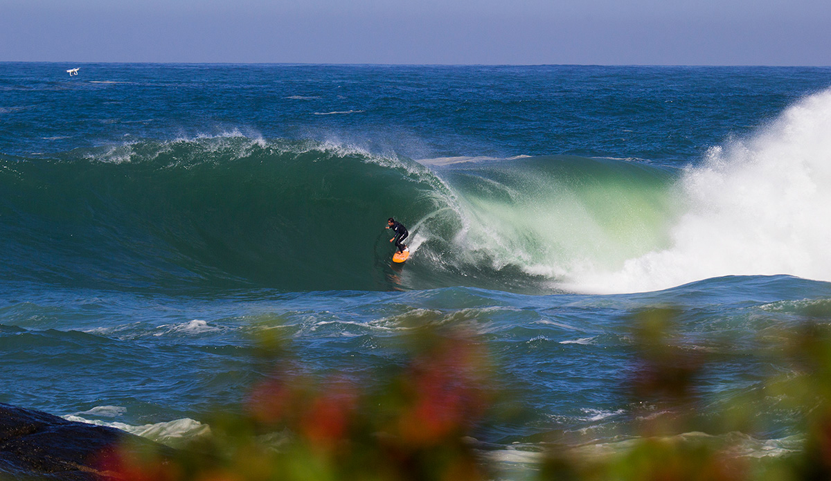 Eric de Souza framed perfectly at Shock.