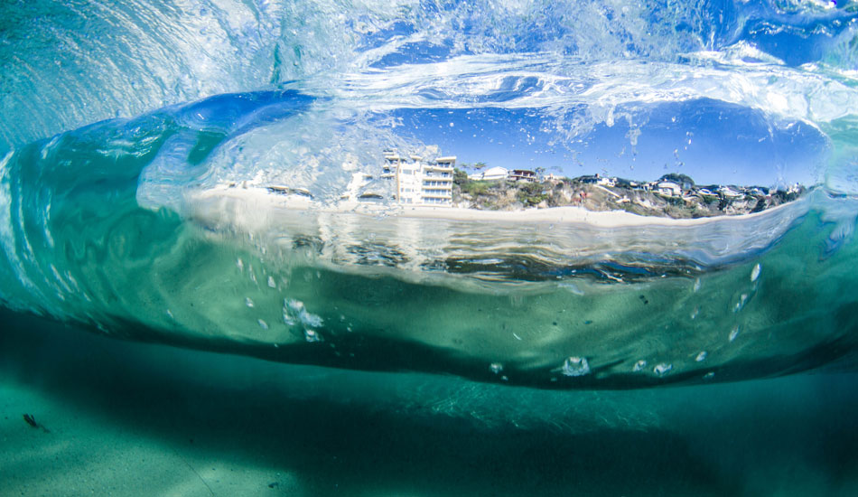 After freediving with a couple buddies, I swam towards the shore while they stayed in the kelp beds and I got this gem. Photo: Luke Forgay