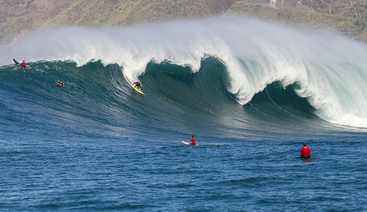 Torrey Meister. Photo: <a href=\"https://www.andrecarvalhophoto.com\">Andre Carvalho</a>