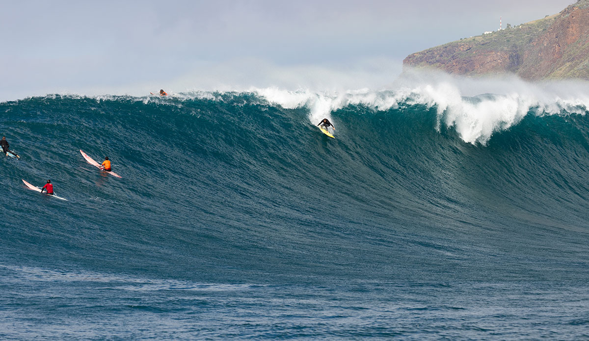 Torrey Meister. Photo: <a href=\"https://www.andrecarvalhophoto.com\">Andre Carvalho</a>