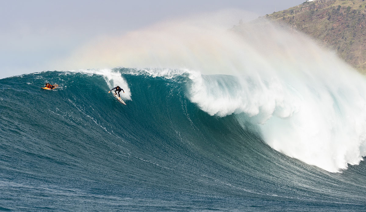 João Maria Mendonça. Photo: <a href=\"https://www.andrecarvalhophoto.com\">Andre Carvalho</a>