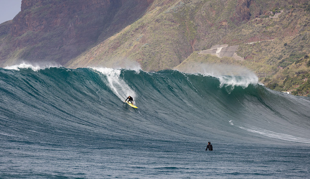 Torrey Meister. Photo: <a href=\"https://www.andrecarvalhophoto.com\">Andre Carvalho</a>