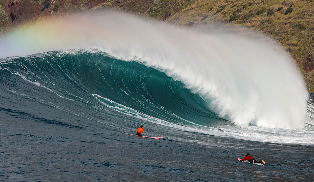 Photo: <a href=\"https://www.andrecarvalhophoto.com\">Andre Carvalho</a>