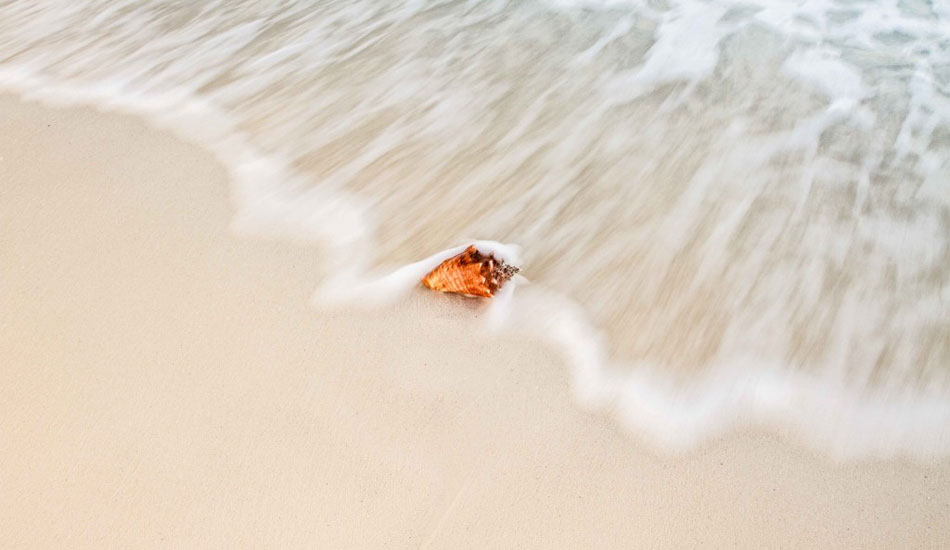 Sea shells down by the sea shore. Photo: Rodrigo Ungaro