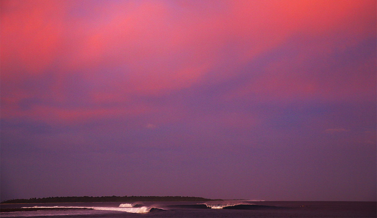 Fuchsia city. Photo: <a href=\"http://mattdunbar.com.au\">Matt Dunbar</a>